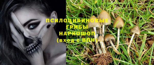 соль ск Абаза