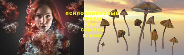 apvp Абинск